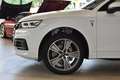 Audi Q5 40 TDI quattro // S line sport plus Bianco - thumbnail 5