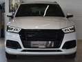 Audi Q5 40 TDI quattro // S line sport plus Bianco - thumbnail 2