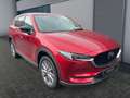 Mazda CX-5 SKYACTIV-G 194 HOMURA HOMURA Rouge - thumbnail 6