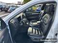 Renault Koleos Initiale Paris Blue dCi 185 X-tronic 4WD Blanco - thumbnail 5