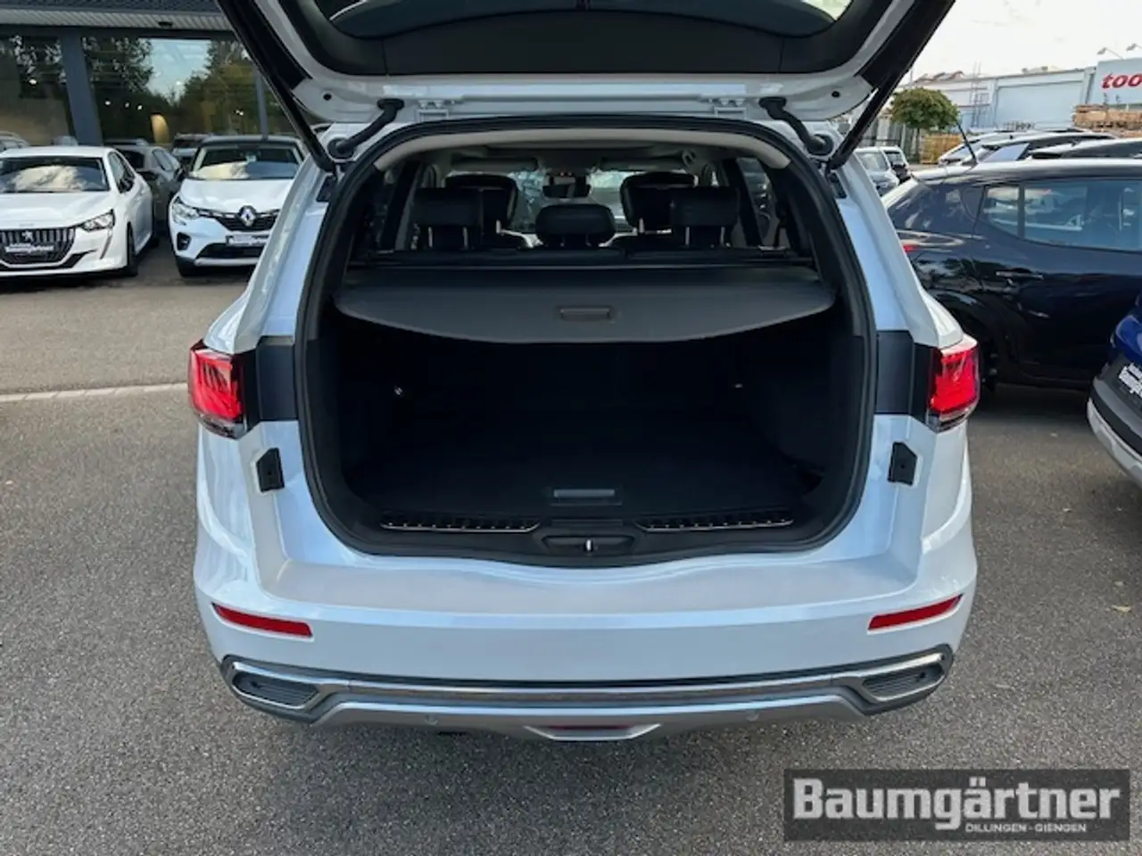 Renault Koleos Initiale Paris Blue dCi 185 X-tronic 4WD 12