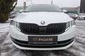 Skoda Octavia Octavia Combi 2,0 TDI Style DSG/TRAUMAUSSTATTUNG/ - thumbnail 2