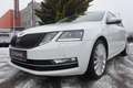 Skoda Octavia Octavia Combi 2,0 TDI Style DSG/TRAUMAUSSTATTUNG/ - thumbnail 1