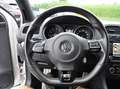 Volkswagen Golf R Bianco - thumbnail 6