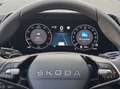 Skoda Kodiaq 1,5 TSI mHEV Selection DSG Grau - thumbnail 12