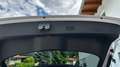 Volkswagen T-Roc T-Roc 1,0 TSI Weiß - thumbnail 9