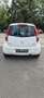 Opel Agila Edition Білий - thumbnail 7
