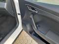 SEAT Arona Arona 1.0 tgi Xcellence 90cv Blanc - thumbnail 16