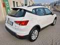 SEAT Arona Arona 1.0 tgi Xcellence 90cv Blanc - thumbnail 5