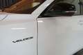 Alfa Romeo Tonale Veloce 1.5 VGT 160PS 48V Hybrid Blanco - thumbnail 6