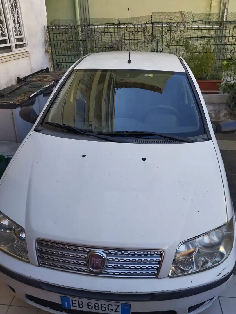 Fiat Punto Evo Bianco - 1