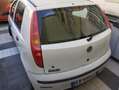 Fiat Punto Evo Bianco - thumbnail 3
