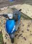 Piaggio Zip 50 50cc 4T 2006 Blauw - thumbnail 2