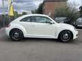 Volkswagen Beetle 1.6 CR TDi  ** CLIM/CAPTEURS/GPS ** Blanc - thumbnail 4