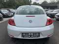Volkswagen Beetle 1.6 CR TDi  ** CLIM/CAPTEURS/GPS ** Blanc - thumbnail 6