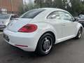 Volkswagen Beetle 1.6 CR TDi  ** CLIM/CAPTEURS/GPS ** Blanc - thumbnail 5
