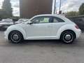 Volkswagen Beetle 1.6 CR TDi  ** CLIM/CAPTEURS/GPS ** Blanc - thumbnail 8