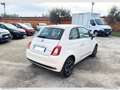 Fiat 500 CLUB HYBRID 1.0 70CV Weiß - thumbnail 5