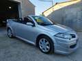 Renault Megane C.C. 1.9DCi Luxe Dynamique Argent - thumbnail 12