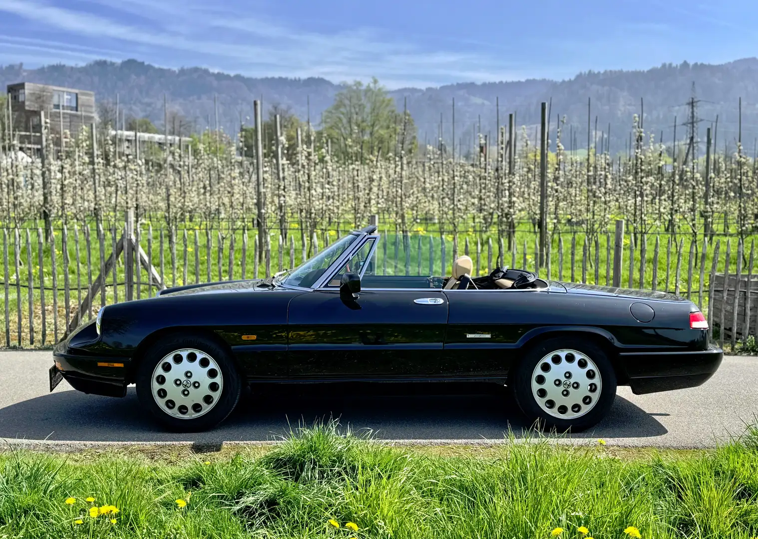 Alfa Romeo Spider Spider 2,0 Schwarz - 2