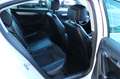 Volkswagen Passat 3,6  Highline 4Motion,Kamera,Keyless,Sthz Weiß - thumbnail 11