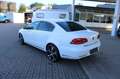 Volkswagen Passat 3,6  Highline 4Motion,Kamera,Keyless,Sthz Weiß - thumbnail 5