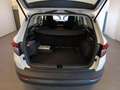 Skoda Karoq 1.0 TSI Executive Bianco - thumbnail 10