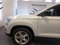 Skoda Karoq 1.0 TSI Executive Bianco - thumbnail 7