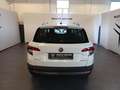 Skoda Karoq 1.0 TSI Executive Bianco - thumbnail 5