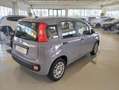 Fiat Panda 1.0 FireFly S&S Hybrid Easy Grigio - thumbnail 4
