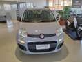 Fiat Panda 1.0 FireFly S&S Hybrid Easy Grigio - thumbnail 2