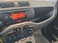 Fiat Panda 1.0 FireFly S&S Hybrid Easy Grigio - thumbnail 12