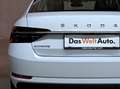 Skoda Superb Style TDI DSG Weiß - thumbnail 6