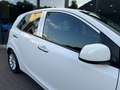 Kia Picanto 1.0 CVVT Navigator 1e Eig ,Navi,Camera,Airco,Lm Ve Blanco - thumbnail 25