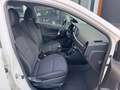 Kia Picanto 1.0 CVVT Navigator 1e Eig ,Navi,Camera,Airco,Lm Ve Blanco - thumbnail 32