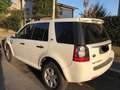 Land Rover Freelander Freelander 2.2 sd4 HSE 4wd 190cv auto Bianco - thumbnail 10