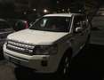 Land Rover Freelander Freelander 2.2 sd4 HSE 4wd 190cv auto Bianco - thumbnail 2