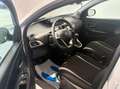 Lancia Ypsilon 1.2 Gold s&s 69cv my19 - thumbnail 10