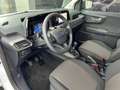Ford Tourneo Courier Blanc - thumbnail 11