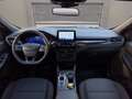 Ford Kuga 2.0 ecoblue ST-Line 2wd 120cv auto Bleu - thumbnail 6