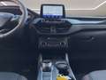 Ford Kuga 2.0 ecoblue ST-Line 2wd 120cv auto Bleu - thumbnail 9