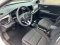 Kia Stonic GOLD 1.0TGDI DCT LED-Scheinwerfer, Aut. Weiß - thumbnail 12