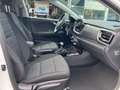Kia Stonic GOLD 1.0TGDI DCT LED-Scheinwerfer, Aut. Weiß - thumbnail 16