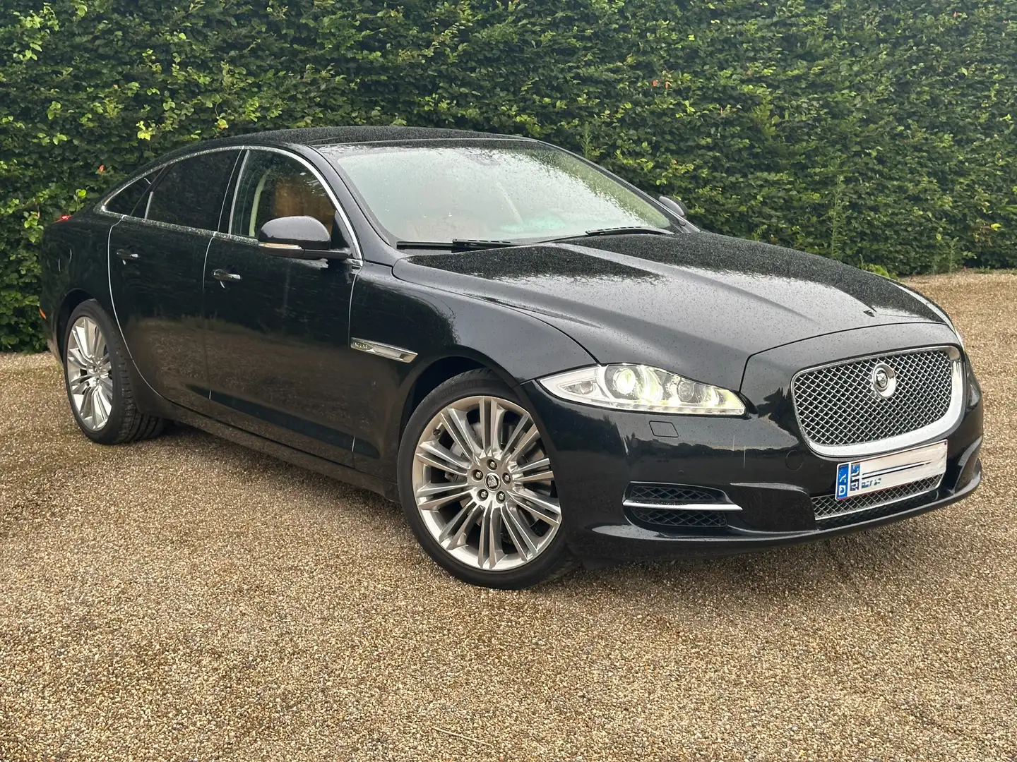 Jaguar XJ XJ 3.0 V6 Diesel S Premium Luxury Noir - 2
