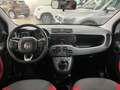 Fiat Panda Panda III 2016 1.3 mjt 16v Easy s Rouge - thumbnail 8