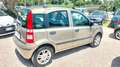 Fiat Panda 1.3 MJT 16V Dynamic Bronzo - thumbnail 4