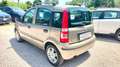 Fiat Panda 1.3 MJT 16V Dynamic Bronzo - thumbnail 2
