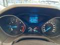 Ford Focus 1.6 TDCi 115 CV Business Grigio - thumbnail 14