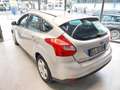 Ford Focus 1.6 TDCi 115 CV Business Grigio - thumbnail 5