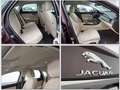 Jaguar XF 25t  Pure Auto Navi R-Kam PDC Sithz 1.Hand Violet - thumbnail 11
